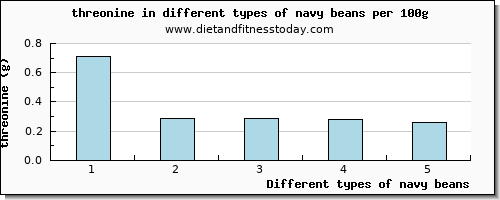 navy beans threonine per 100g